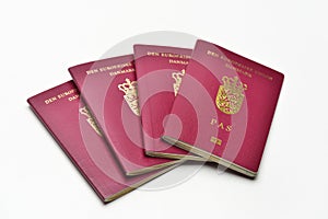 Danish Passports