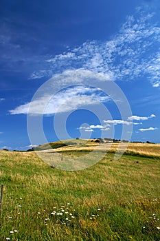 Danish summer landscape 1 photo