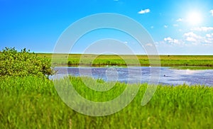 Danish summer landscape