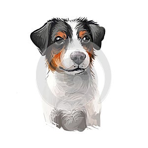 Danish Swedish Farmdog, Scanian terrier dog digital art illustration isolated on white background. Denmark and Sweden origin