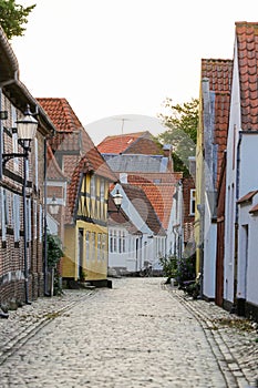 Danish Town Ribe