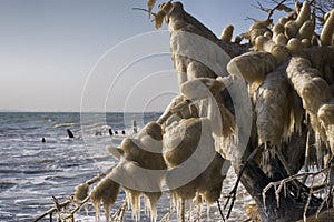 Danish winter coastline landscape with ice