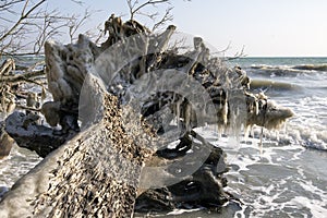 Danish winter coastline landscape with ice