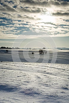 Danish winter landscape II