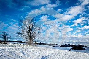 Danish winter landscape III