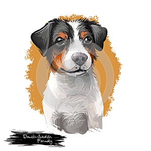 Danishâ€“Swedish Farmdog, Scanian terrier dog digital art illustration isolated on white background. Denmark and Sweden origin