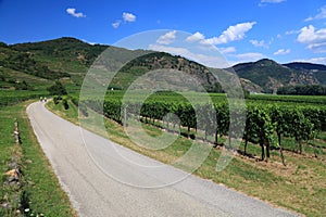 Danube Cycle Path in summer in Austria