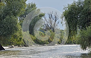 Danube delta channel