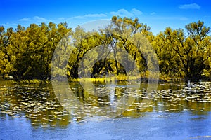 Danube Delta Landscape