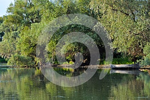 Danube Delta landscape