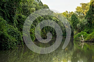 Danube Delta landscape
