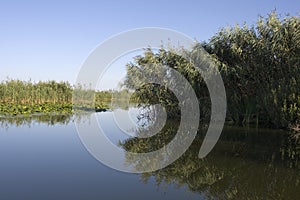 Danube delta landscape