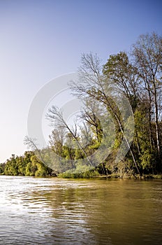 Danube Delta Landscape, Romania