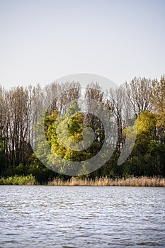 Danube Delta Landscape, Romania
