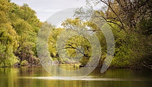 Danube Delta Landscape, Romania