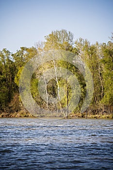 Danube Delta Landscape, Romania