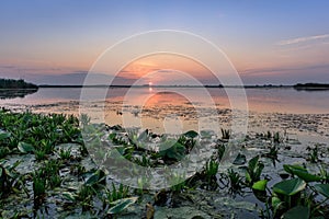 Danube Delta, Romania