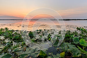 Danube Delta, Romania