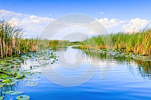 Danube Delta, Romania. photo