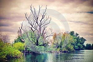 Danube River. Superb dramatic landscape in natural reserve of the Danube Delta - landmark attraction in Romania