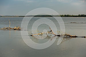 The Danube Delta is a unique and biodiverse region located in southeastern Europe, primarily in Romania