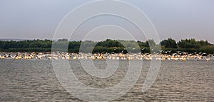 The Danube Delta is a unique and biodiverse region located in southeastern Europe, primarily in Romania
