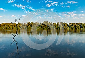 Danube Delta Vegetation and wildlife