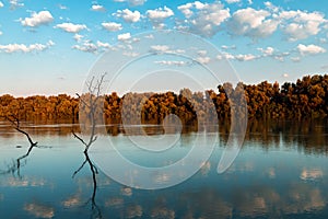 Danube Delta Vegetation and wildlife