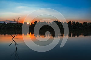 Danube Delta Vegetation and wildlife Sunset