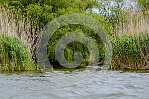 Landscape in Danube Delta