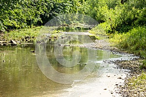 the Danube disappears at Donaueschingen Germany