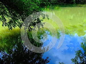 Danube reflection