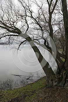 Danube river photo