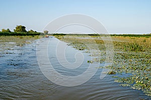 Danube river delta