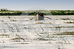 Danube river delta