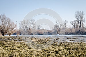 Danube river delta in winter