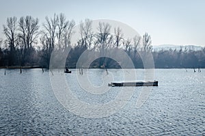 Danube river delta in winter