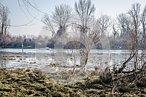 Danube river delta in winter