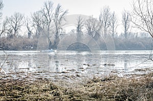 Danube river delta in winter