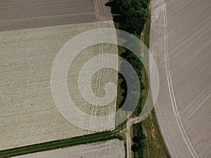 Danube river with dried up fields near Donau and the lock in Geisling