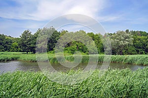 Danube River. Landscape from the natural reserve of the Danube Delta - landmark attraction in Romania