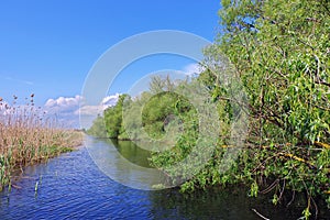 Danube River. Landscape in natural reserve of the Danube Delta - landmark attraction in Romania