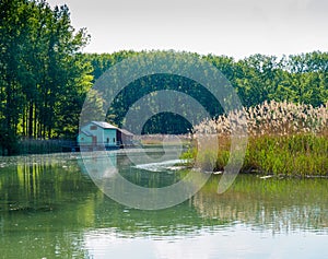 Danube river in spring with fishing cottage