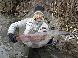 Danube salmon hucho fishing in central Europe