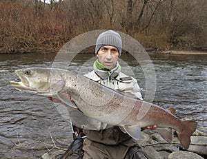 Danube salmon hucho fishing in central Europe
