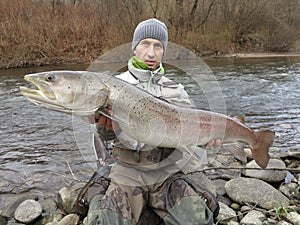 Danube salmon hucho fishing in central Europe