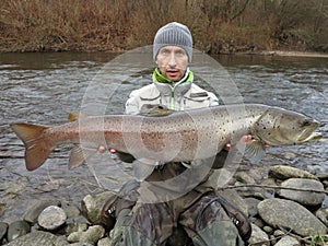 Danube salmon hucho fishing in central Europe