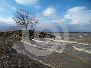 Danube wave in a sunny day