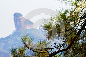 Danxia mountain with pine needles