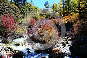 Daocheng Yading , a national level nature reserve in China